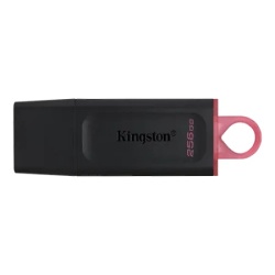 Kingston 740617310023 fleš pen 256gb datatraveler exodia 3.2 ( dtx/256gb )