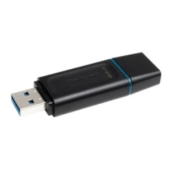 Kingston USB Flash memorija 64GB DTX/64GB ( 83002 )-2