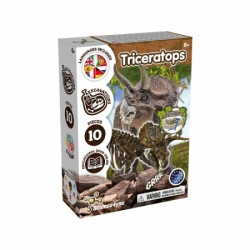 Kreativni set iskopaj fosil triceratopsa ( 132/37559 )