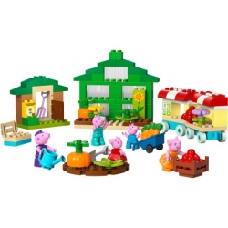 Lego 10461 Bašta i staklenik Deke Praseta ( 10461 )-7