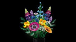 Lego Buket divljeg cveća ( 10313 ) - Img 11