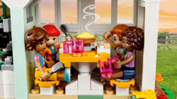Lego Dunjina kuća ( 41730 ) - Img 8