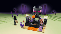 Lego End arena ( 21242 ) - Img 11