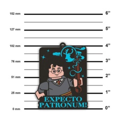 Lego Hari Poter magnet: Expectro Patronum ( 53243 )-4