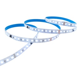 Running LED / trčeća LED traka 120 LED/m 6000K WS16703 IP20 24V ( LTR2835/120Wpix-24E )
