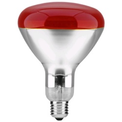 Sijalica temperaturna 250W infracrvena kvočka ( 18375 )