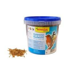 Sušeni 1235-17500 crvići 10l kantica za divlje ptice ( 03998 )