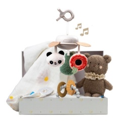 Taf Toys poklon set za novorođenče ( 22114123 )