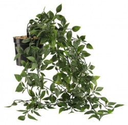 Veštačka biljka oliver viseća sa saksijom ( 4911672 )