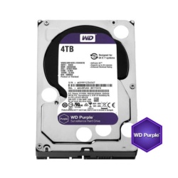 WD 4TB 256MB Hard disk ( HDD-WD43PURZ )