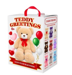 White box teddy greetings bear asst ( TT2601004W )