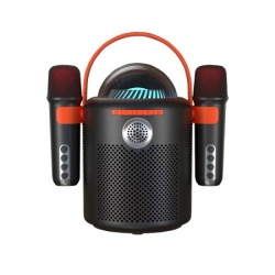 Zvucnik bluetooth y-11 sa 2 mikrofona crni ( ZV929 )