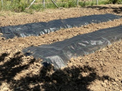 Agrotekstilna folija 1.5x10m Premium ground cover ( VLKAF150X10-premium )