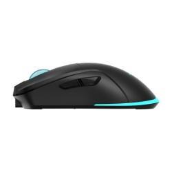 Baracuda BGM 121 Turtle Wireless Mouse Black-5