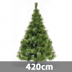 BOR - zelena novogodišnja jelka 420 cm