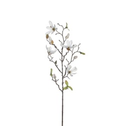 Dekordom Cvet magnolia 75cm 1009102 - white - edl ( 040424 )