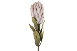 Dekordom Cvet protea 61cm 789508 - pink - dcs ( 040163 )