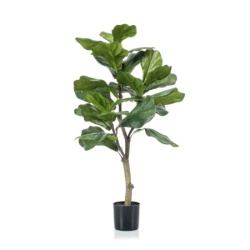 DekorDom cvet u saksiji - ficus n60 a1026 -( 025146 )
