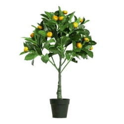 Dekordom drvo kumquat n55 - 70cm ( 025085 )