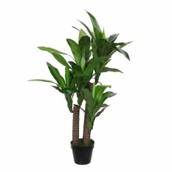 Dekordom Drvo u saksiji dracaena 150cm 1102068 - edl ( 041239 )
