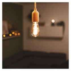 Emos z57311 Led sijalica deco smoked st64 4,5w(19w) 180lm e27 flame ( 3748 )-2