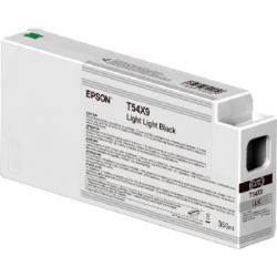 Epson Ink C13T54X900 light black (350ml)