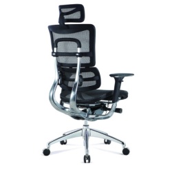 Ergonomska radna stolica HAVAS/M - Crna-1