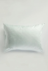 Jastučnica damast 60x80 pruga mint ( 228-pruga.mint )