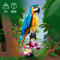 Lego egzotični papagaj ( 31136 )-20
