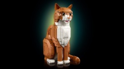 Lego Narandžasta mačka ( 21376 )-4