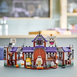 Lego Ukleta vila kralja Bua ( 71436 )-2