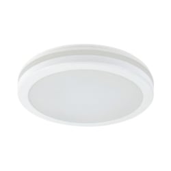 Ningbo LED plafonjera 24W, promenljiva boja svetla   ( E201825 )-1