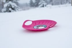 Prosperplast Sanke speed m pink ( 291720-P )