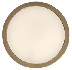 Rabalux Shaun Plus Spoljna plafonska rasveta ( 75079 )-6