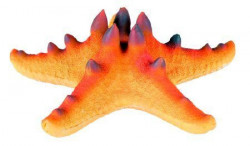 Trixie Morska zvezda sa magnetom 10.5 cm ( 8896 )