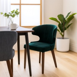 Trpezarijska stolica Noble Curve Line