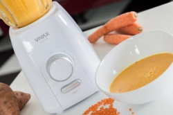 Vivax BL-600G blender ( 0001002595 )