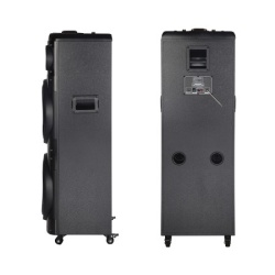 Zvucnik bluetooth ndr-2260 100w 2*12 inca sa dva mikrofona crni ( ZV1137 )-5