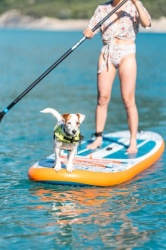 Aqua Marina PA-25366 pure air tropic 366 blue - isup