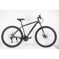 Bicikla 29"/21 maximus grey ( BCK0953 )