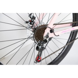 Bicikla 29"/21  maximus pink   ( BCK0950 ) -2