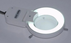 BTC prstenasta svetlosna cev bele svetlosti ( lightfl )