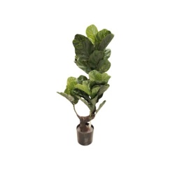 Dekordom Cvet u saksiji - ficus a1023 - n60 ( 025145 )