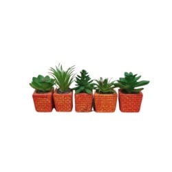 Dekordom cvet u saksiji - succulent cube 654 - n44 ( 024277 )-6