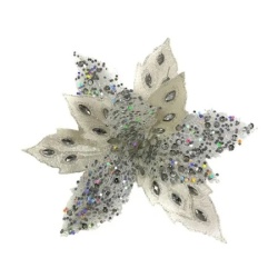 Festa blossom novogodišnji cvet šampanjac 24cm ( 780611 )