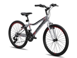 Galaxy Bicikl galaxy festina 24"/18 siva/crna/crvena mat ( 650242 )