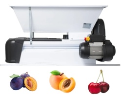 Grifo LNSS Motorna muljača za otkoštavanje sa dva sita za sitnije i krupnije voće: višnja, trešnja, šljiva, kajsija