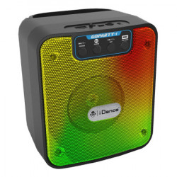 iDance GoParty-1 Bluetooth Speaker with Flame led ( 048551 )
