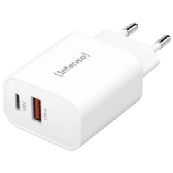 Intenso Punjač kućni, brzi, 1 x USB-A, 1 x UCB-C, 3A, 30W - Power Adapter W30AC-2