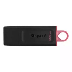 Kingston 256 GB 3.2 Exodia DTX/256GB USB Flash